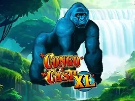 คอนโก แคช XL